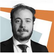 Profesor de derecho mercantil, civil, fiscal y marcas, con capacidad de formar alumnos universitarios, máster y  especialización